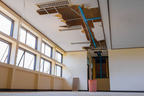 Best Water damage cleanup near me  in Selden, NY