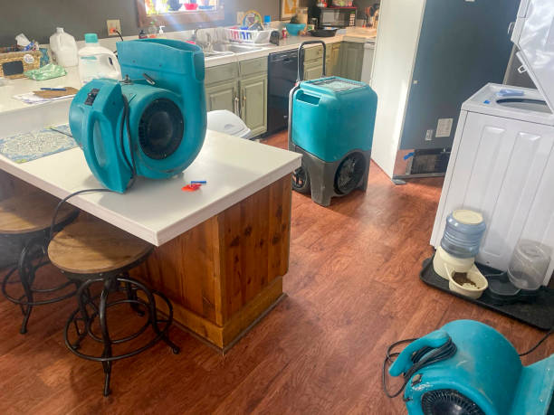Best Sewage cleanup and water damage restoration  in Selden, NY