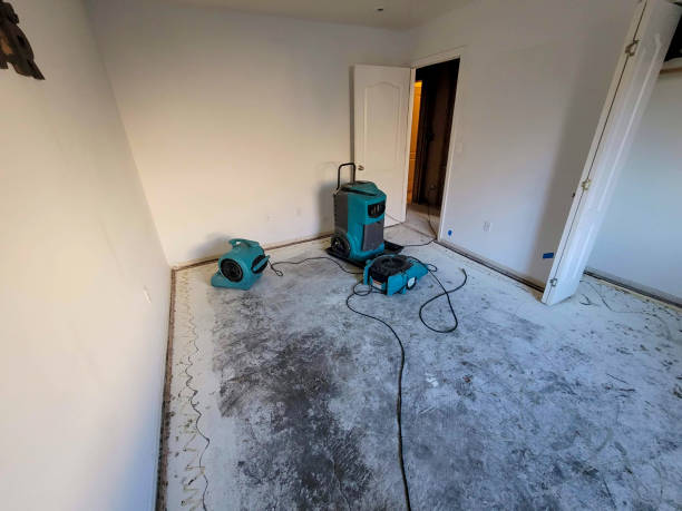 Best 24-hour water damage restoration  in Selden, NY