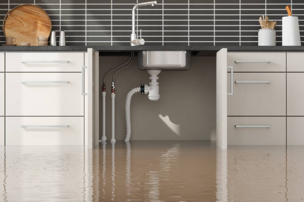 Reliable Selden, NY Water damage restoration Solutions